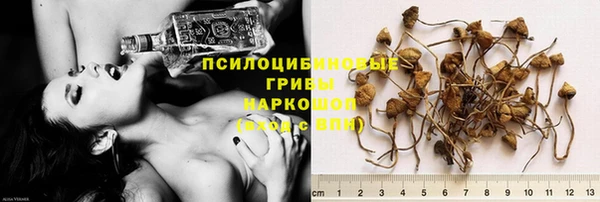 стафф Алзамай