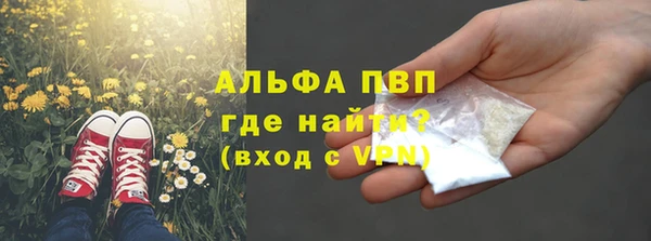 стафф Алзамай