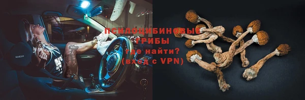 стафф Алзамай