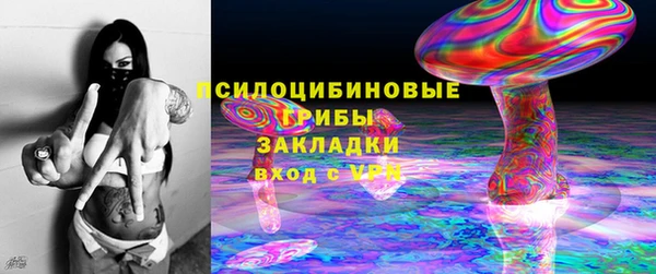 стафф Алзамай
