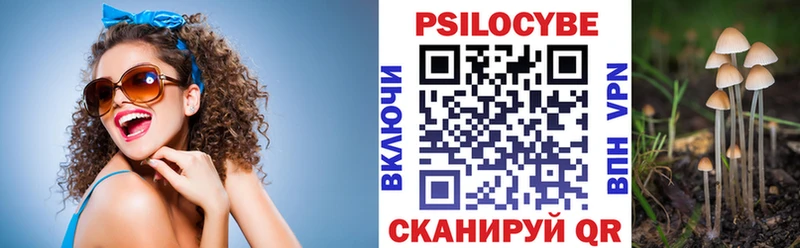 купить наркоту  Бирск  Псилоцибиновые грибы Psilocybe 