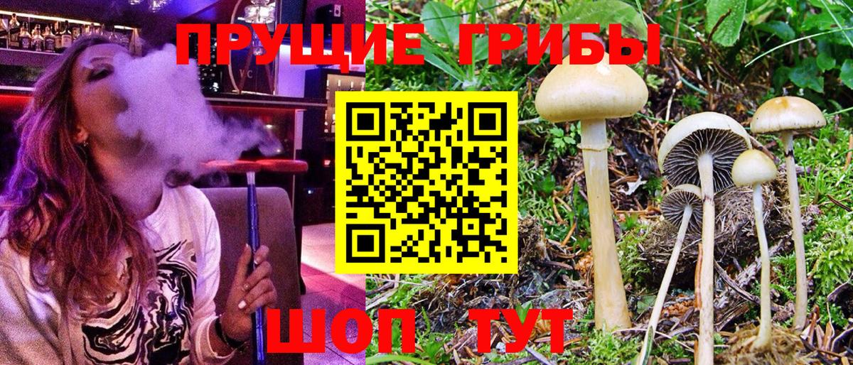 Бирск  Галлюциногенные грибы MAGIC MUSHROOMS  Вход с VPN 