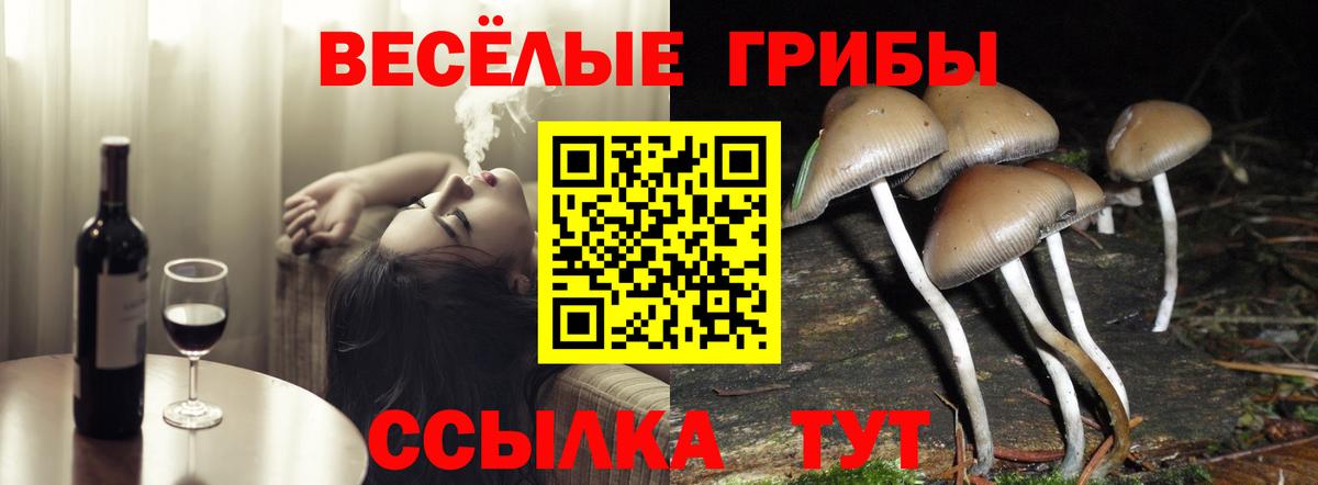 Галлюциногенные грибы прущие грибы Бирск